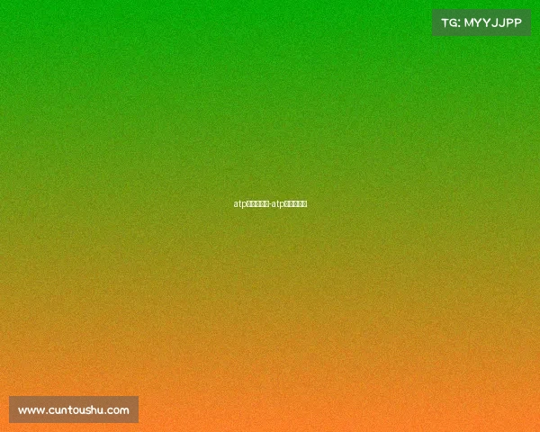 atp系列赛事有-atp系列赛包括